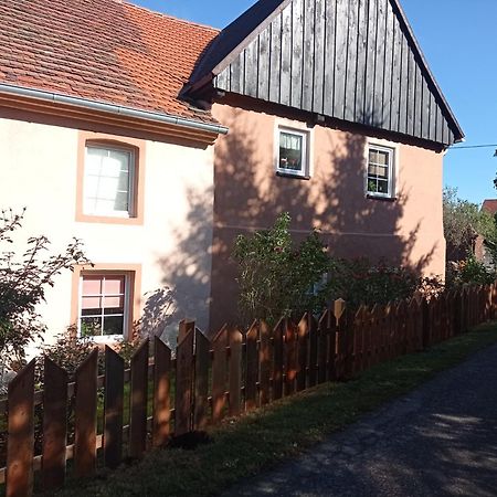Roze I Jablonie Agroturystyka Грыфув-Слёнский Экстерьер фото