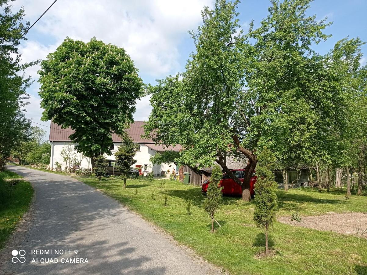Roze I Jablonie Agroturystyka Грыфув-Слёнский Экстерьер фото