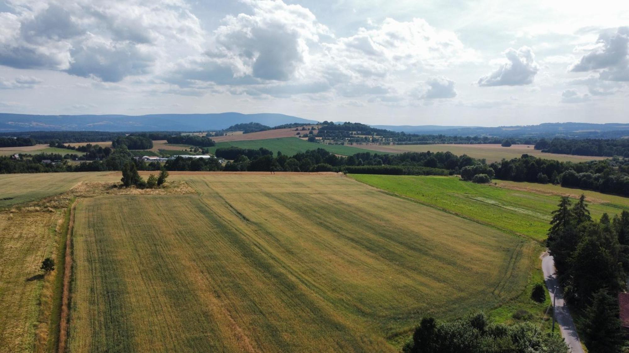 Roze I Jablonie Agroturystyka Грыфув-Слёнский Экстерьер фото