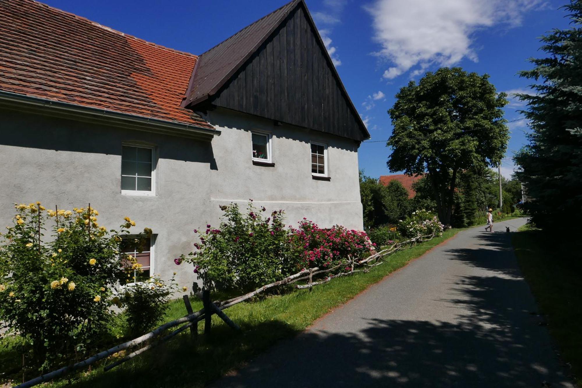 Roze I Jablonie Agroturystyka Грыфув-Слёнский Экстерьер фото